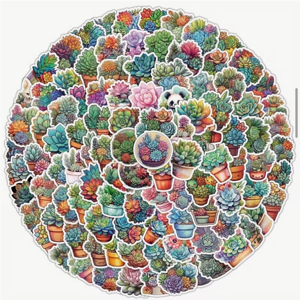100 Colorful Succulent Stickers  Potted Cactus Plants Cacti Flowers Desert